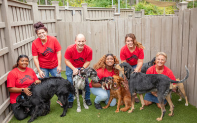 Red Rover, Red Rover, Bring Your Doggie Over: Dog business offers professional grooming, daily PlayCare, and overnight boarding