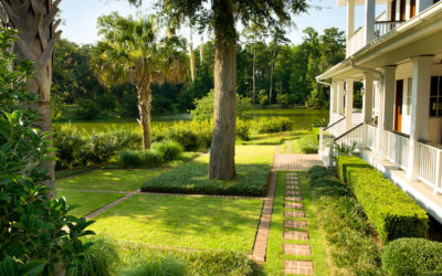 Turf Troubles? Here’s What Makes Your Lowcountry Yard Unique