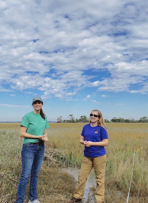 The Bay Point Island Foundation: Dedicated to preservation, conservation, and education of the natural preserve