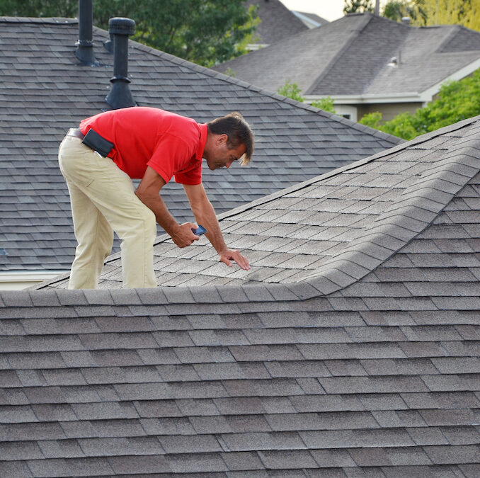 Gotcha Covered:Lots of options for new roofs