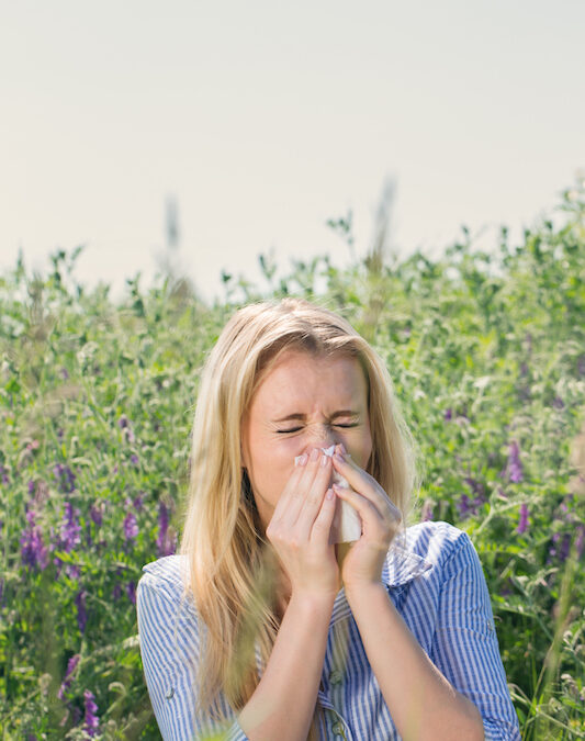 Tips for Treating Seasonal Allergies