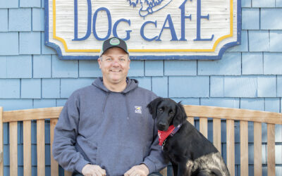 Some Fine Canines (and one Fine Feline): Meet the shop dogs (and cat) that make the Lowcountry a great place to sit and stay