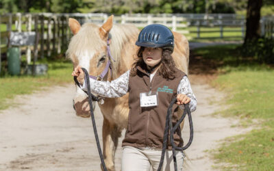 Heroes on Horseback: Empowering lives one stride at a time