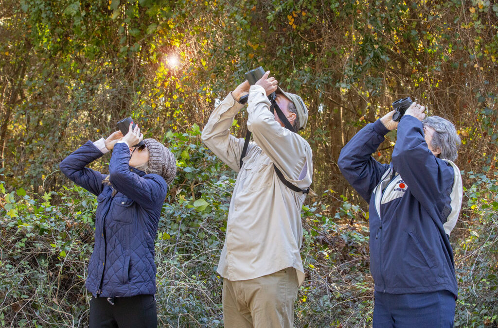 Branching Out: Wild Birds Unlimited Steps Outside With Services Into Your Backyard and Beyond