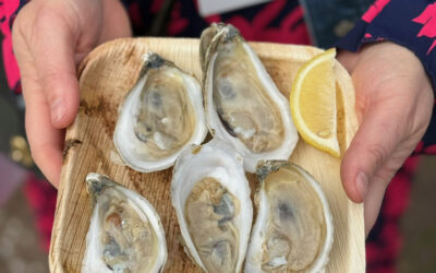 Love for the Hilton Head Island Seafood Festival