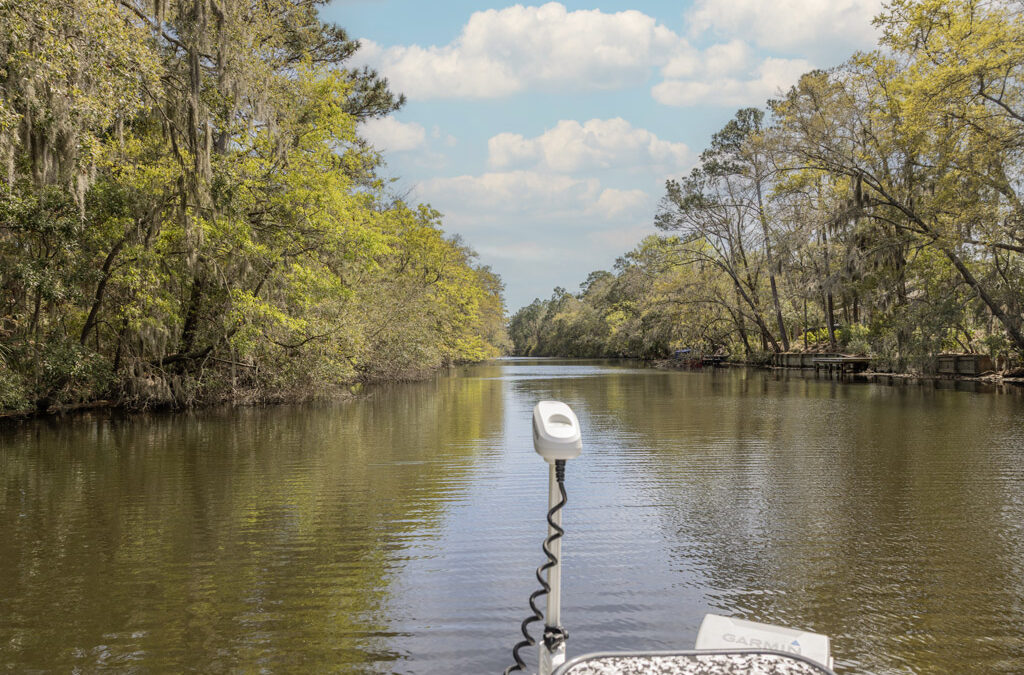 Fishing the Palmetto Dunes Lagoon