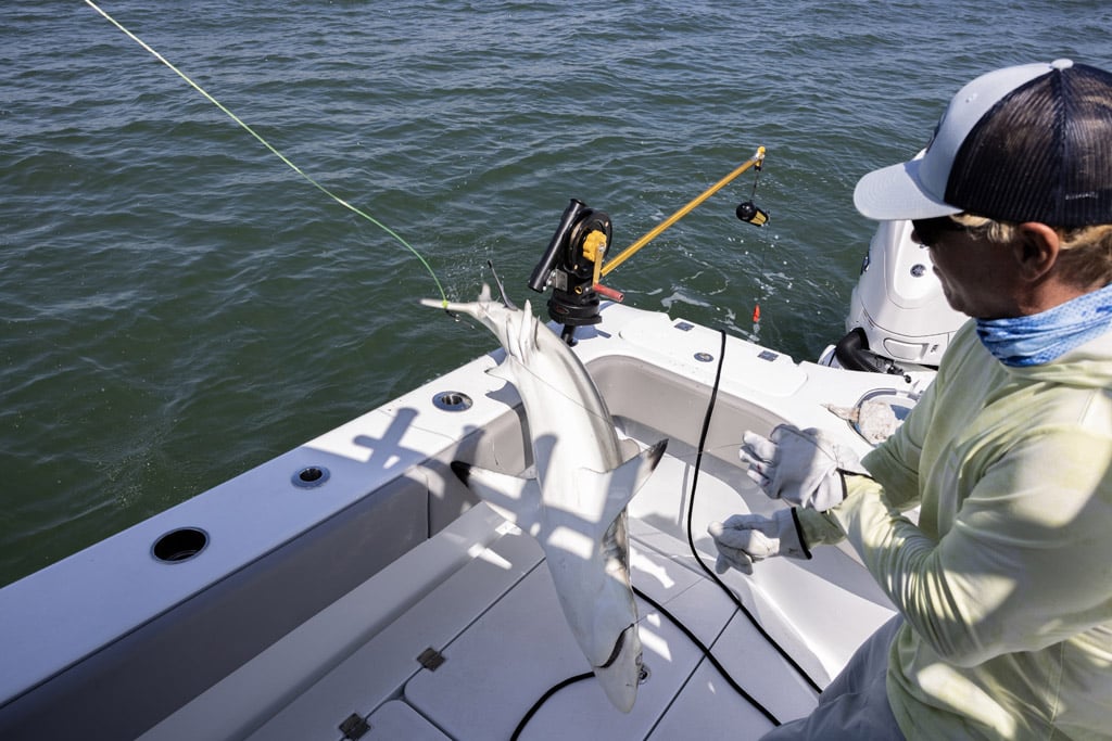 Fishintheboat